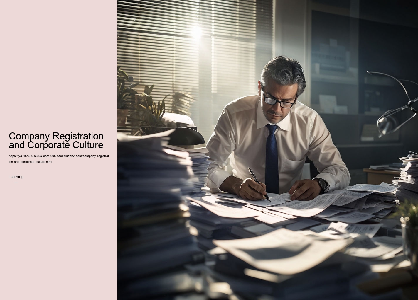 Company Registration and Corporate Culture